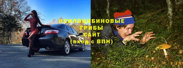 кокс Алзамай