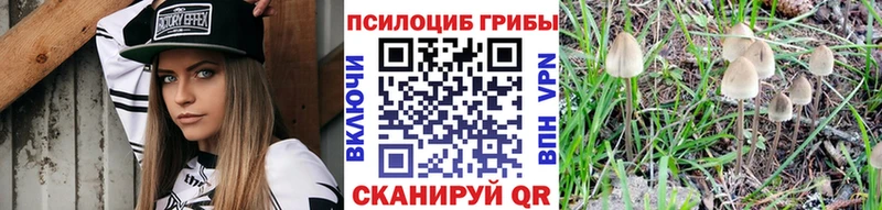 Купить  Кировск  Псилоцибиновые грибы прущие грибы 