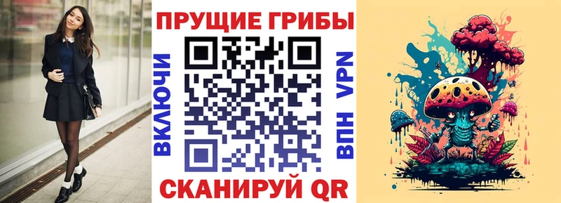 Псилоцибиновые грибы Psilocybe Кировск